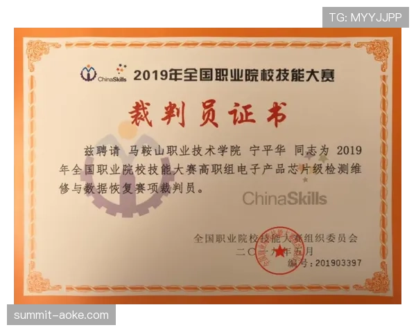 比赛暂停由裁判决定的情形与恢复比赛的判定标准