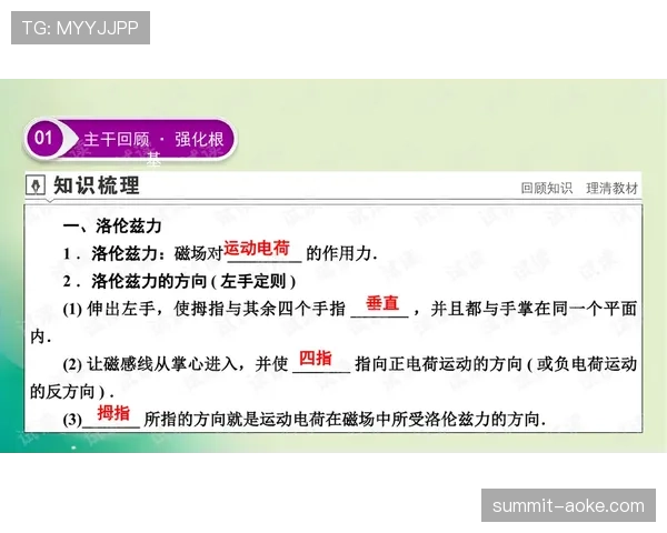 袁心玥那张路透,拎的包让我以为她随手带了间小型豪宅 袁心玥那张路透,拎的包让我以为她随手带了间小型豪宅